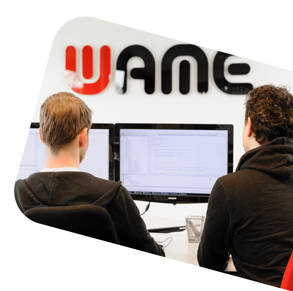 WAME software development